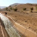 Palestinians swim in al-Auja spring's water in July 2022. (Photo: Wajed Nobani/APA Images)