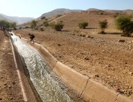 Palestinians swim in al-Auja spring's water in July 2022. (Photo: Wajed Nobani/APA Images)