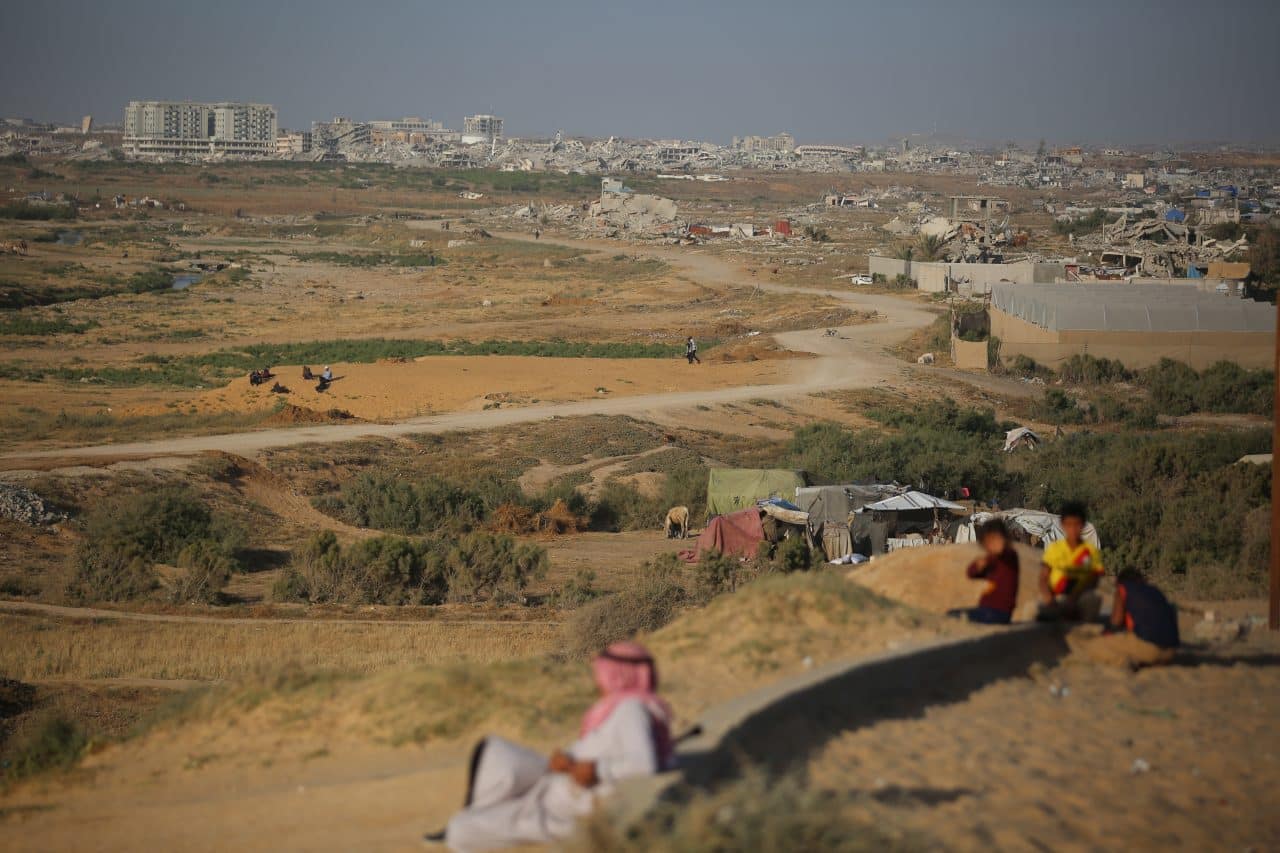 Gaza farmers begin the hard work of rebuilding an agricultural sector decimated by Israel’s genocide