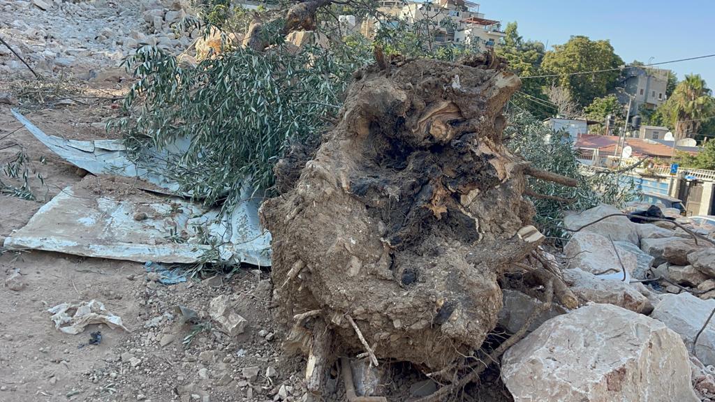 Aftermath of the destruction of agricultural land belonging to the Greek Orthodox Patriarchate. (Photo: Khaled al-Zir)