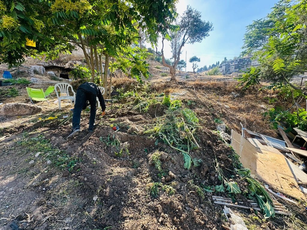 Khaled al-Zir, the church's caretaker, tending to the land surrounding the Greek Orthodox Patriarchate, June 2026 (Photo: Iyad Jaber).