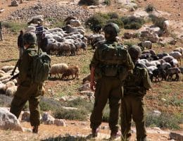 Israeli forces move Palestinian shepherds off their land to make way for Jewish Israeli settlers to farm the land near the Israeli settlement of Maaon, just south of the Palestinian village of Yatta, in the southern West Bank, April 21, 2012. (Photo: Mamoun Wazwaz/APA Images)