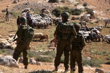 Israeli forces move Palestinian shepherds off their land to make way for Jewish Israeli settlers to farm the land near the Israeli settlement of Maaon, just south of the Palestinian village of Yatta, in the southern West Bank, April 21, 2012. (Photo: Mamoun Wazwaz/APA Images)