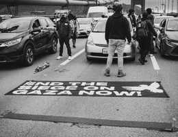 April 2024 Golden Gate Bridge protest (Photo credit: Fran De Sena)