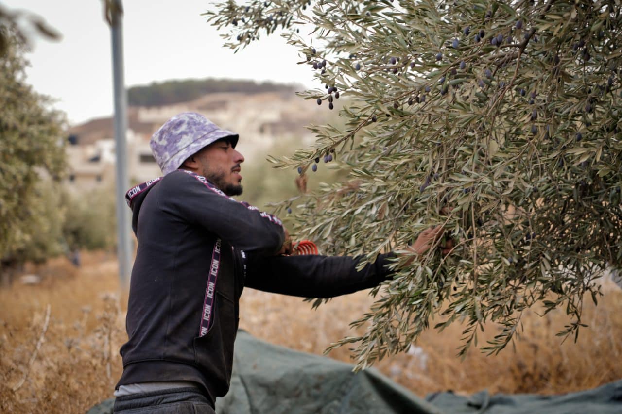 Resisting uprooting in the West Bank